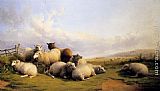 Sheep Canvas Paintings - Sheep In An Extensive Landscape